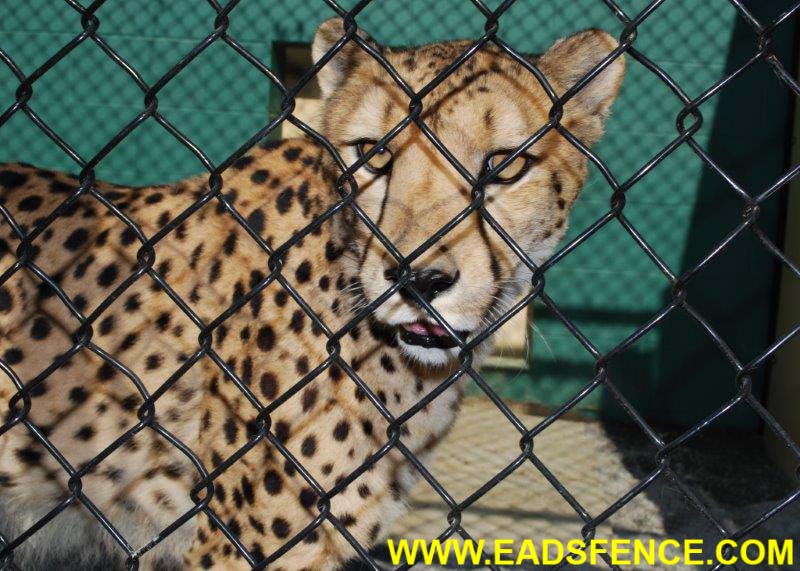 Ohio Fence Company Eads Fence Co. Pet Exotic Animal Enclosures